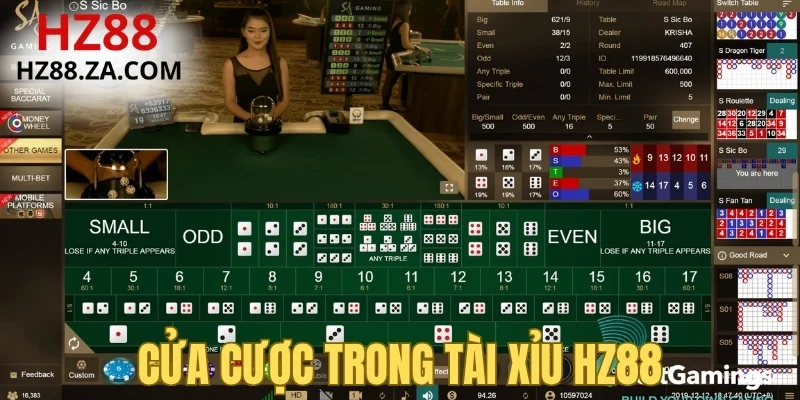 Cửa cược trong Tài Xỉu HZ88