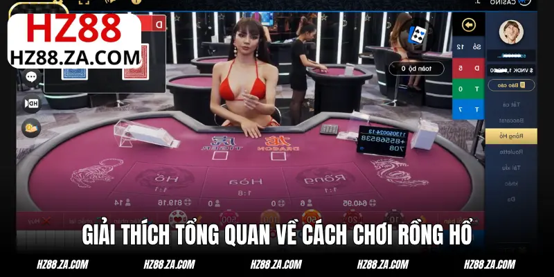 Giải thích tổng quan về cách chơi Rồng Hổ HZ88